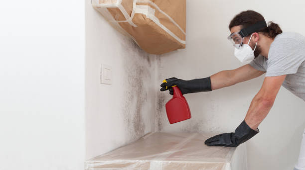 Professional Basement Mold Remediation technician working in Neelyton, PA